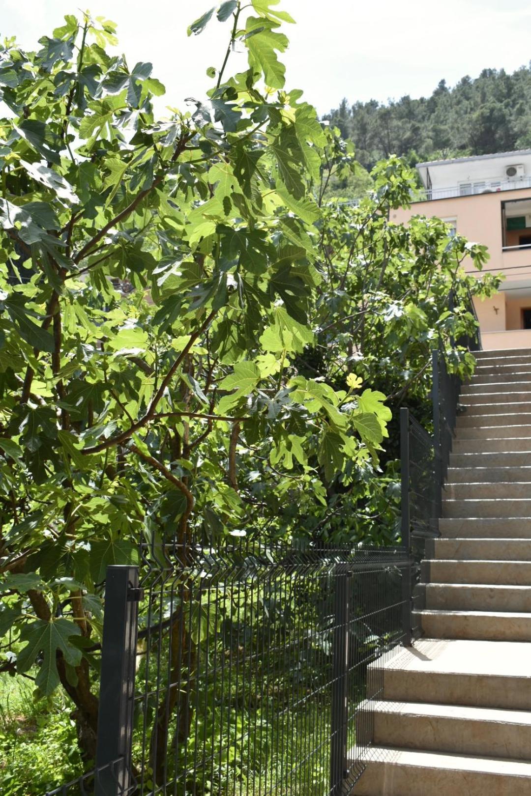 Bel Apartment Mostar Exteriör bild